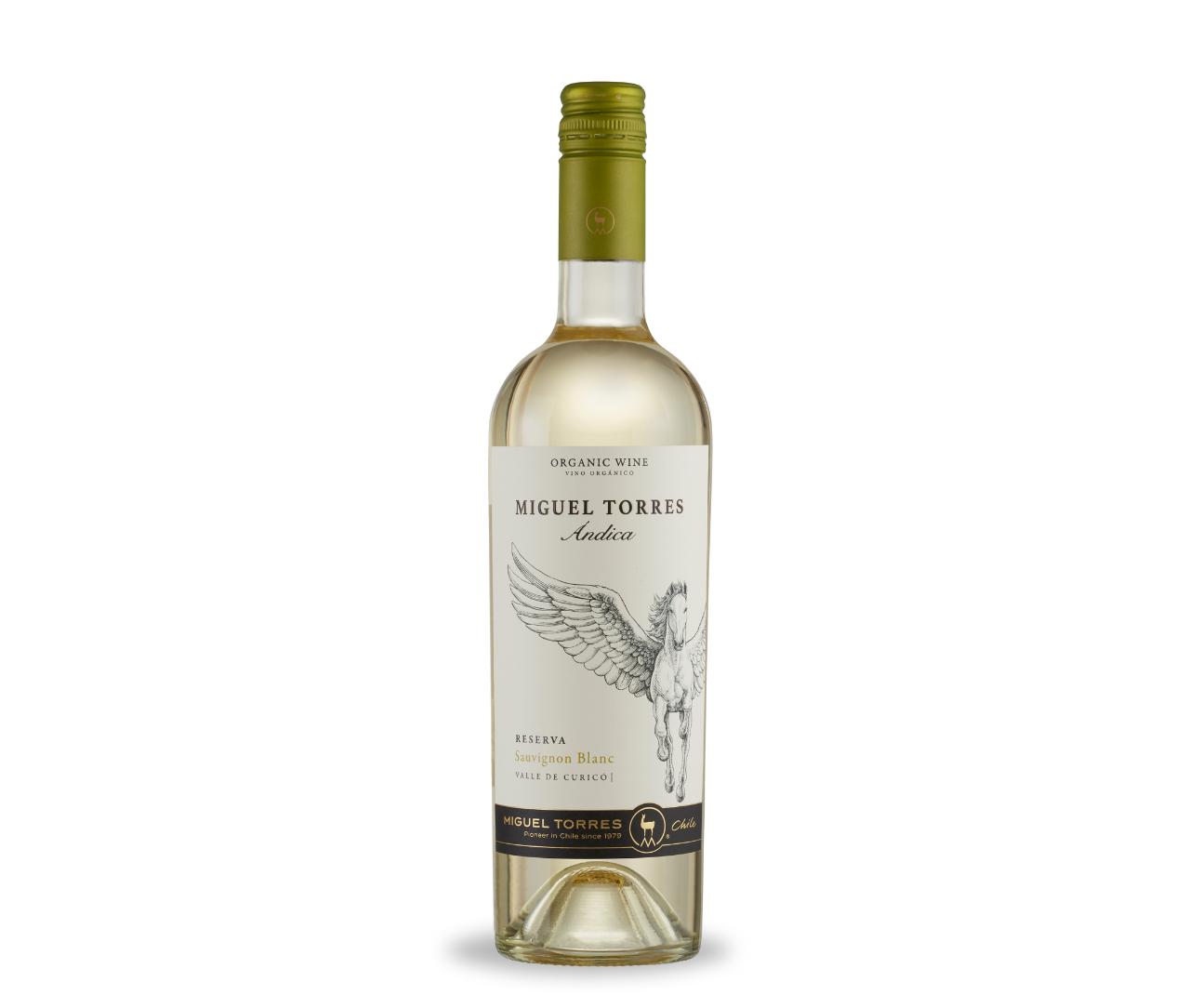 Miguel Torres Ándica Reserva Sauvignon Blanc